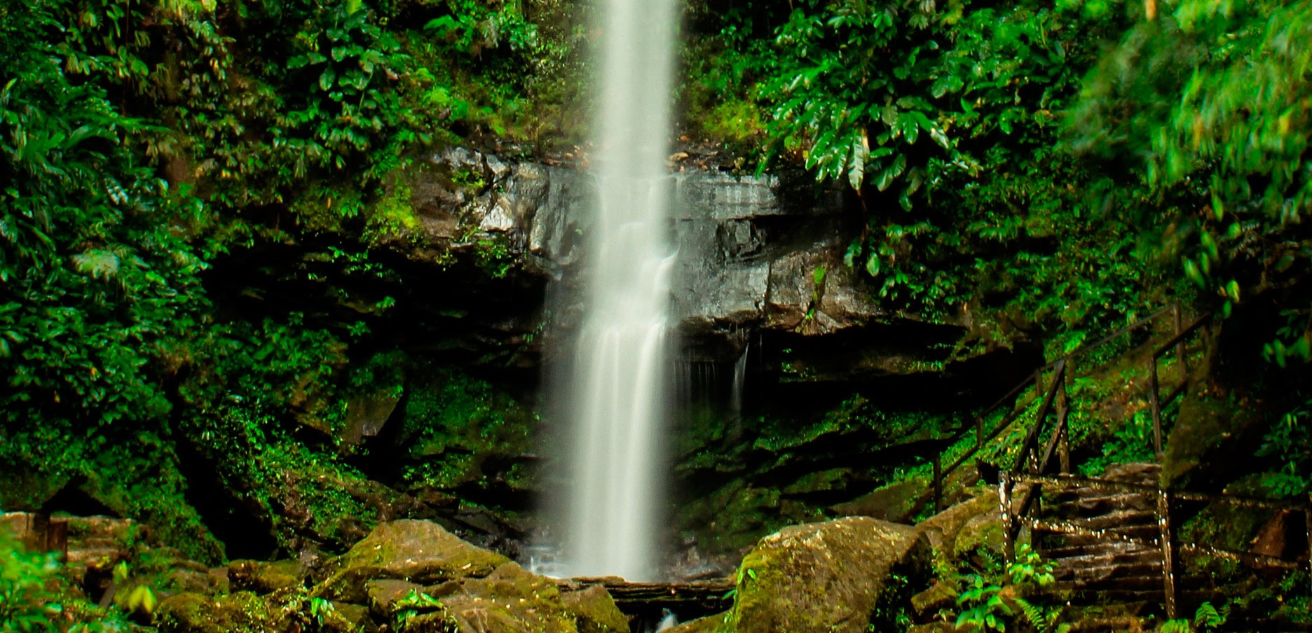 Tour a Catarata de Ahuashiyacu